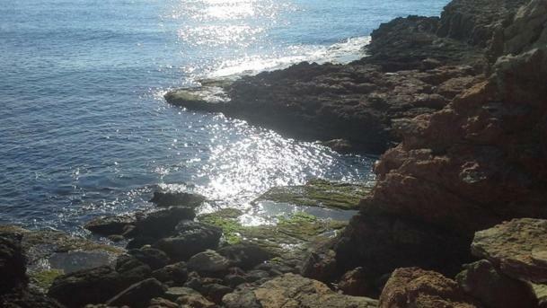 Madamme Curie Apartment Torrevieja Exterior foto